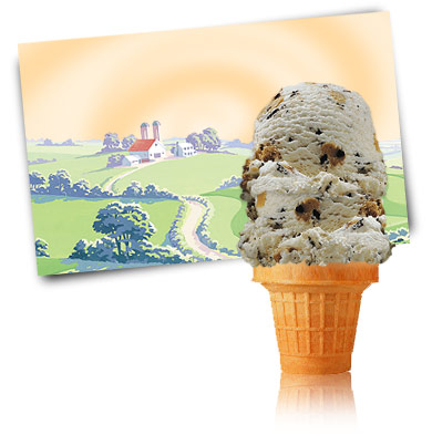 Turkey Hill Chocolate Chip Cookie Dough Ice Cream