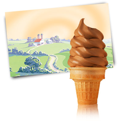 Turkey Hill Chocolate 10% Soft Serve Soft Serve Ice Cream